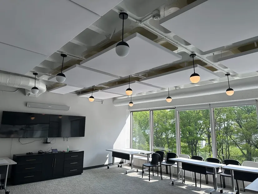 White Ceiling Panels
